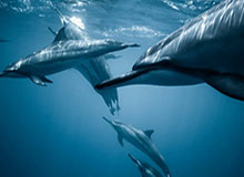 kaiyun 官网-闰土没给前女友封口费